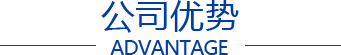 公司优势